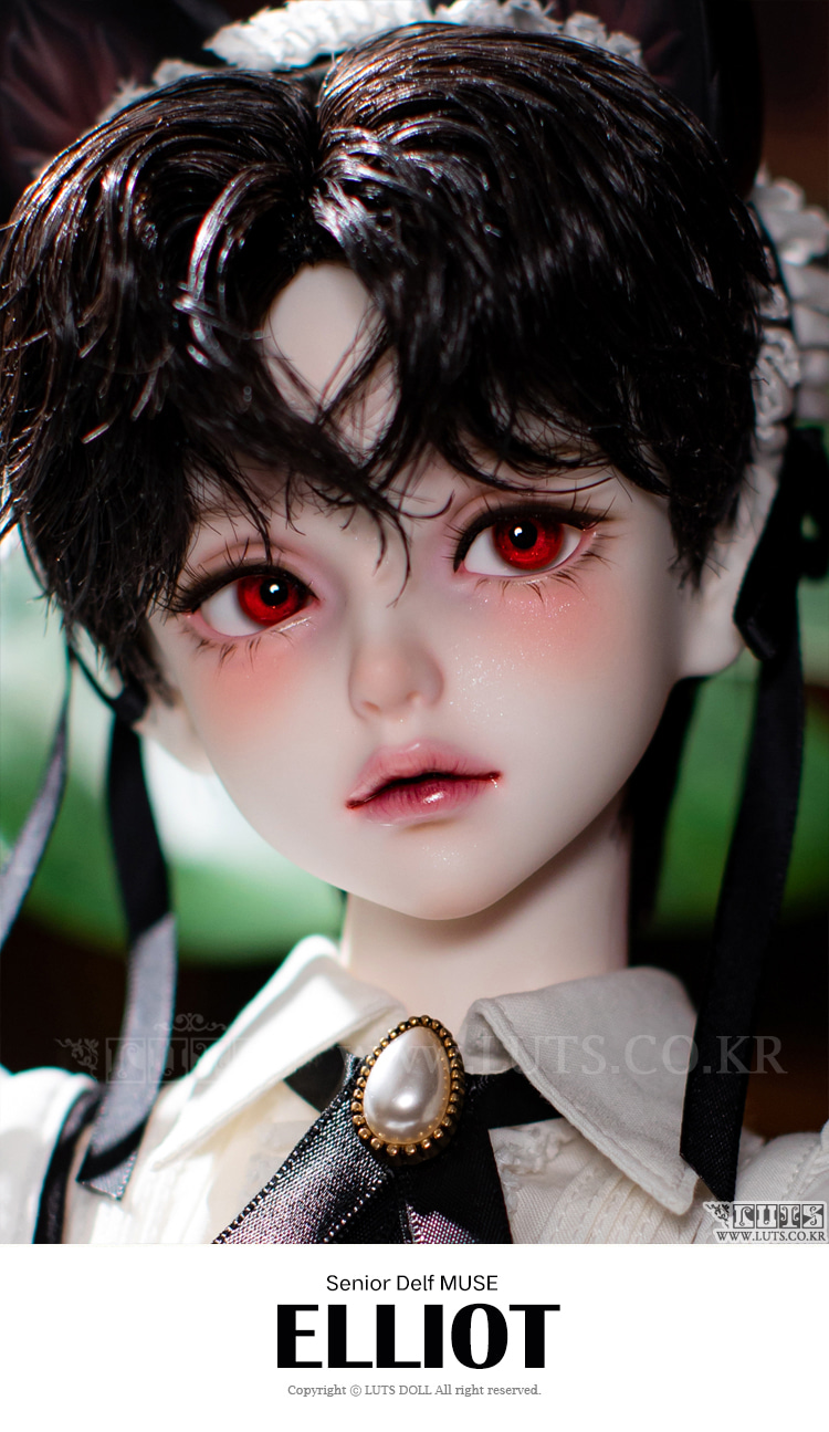 luts senior delf muse elliot