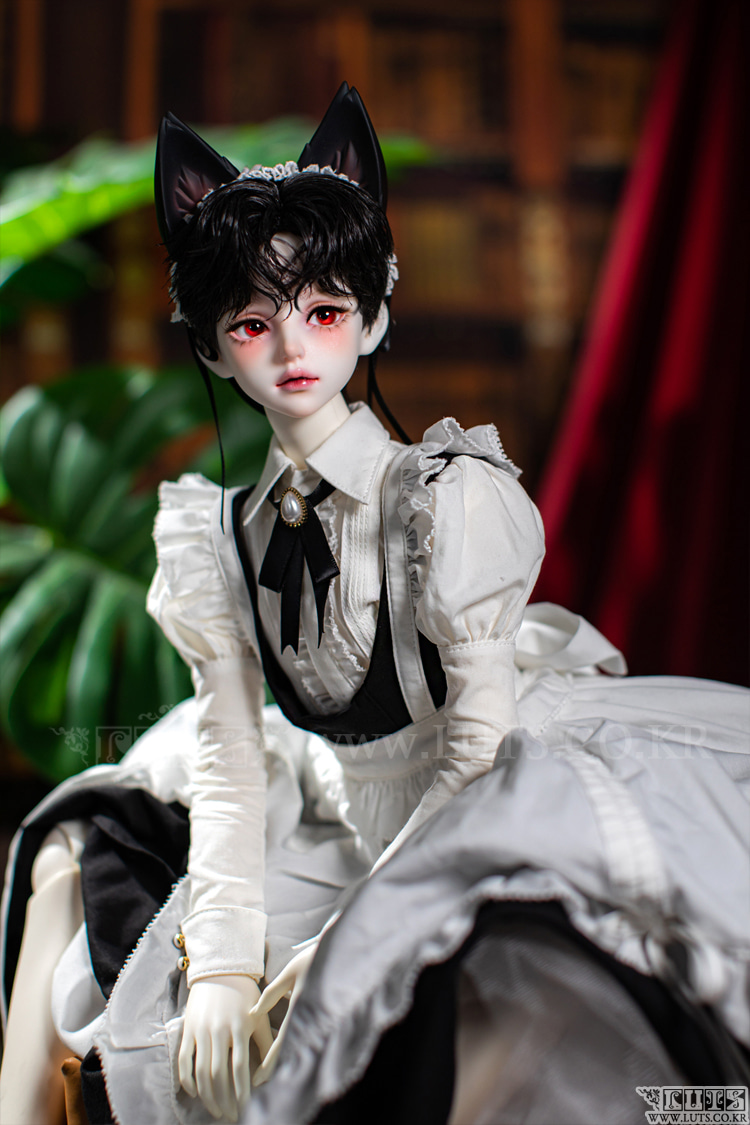 luts senior delf muse elliot
