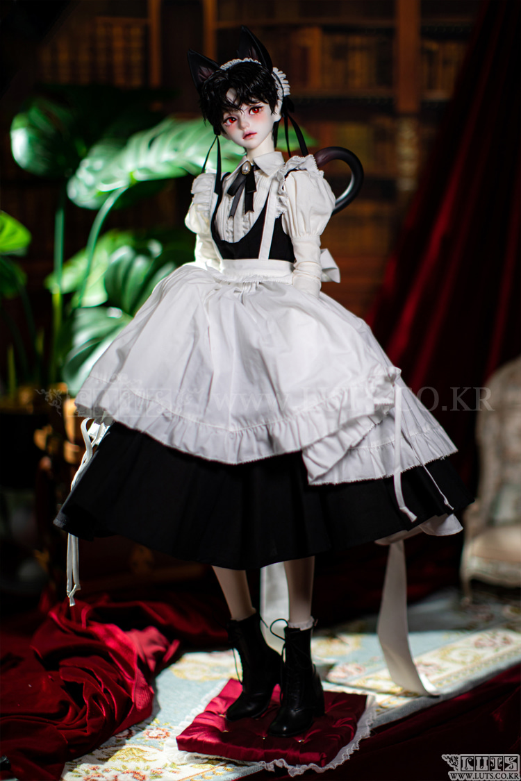 luts senior delf muse elliot