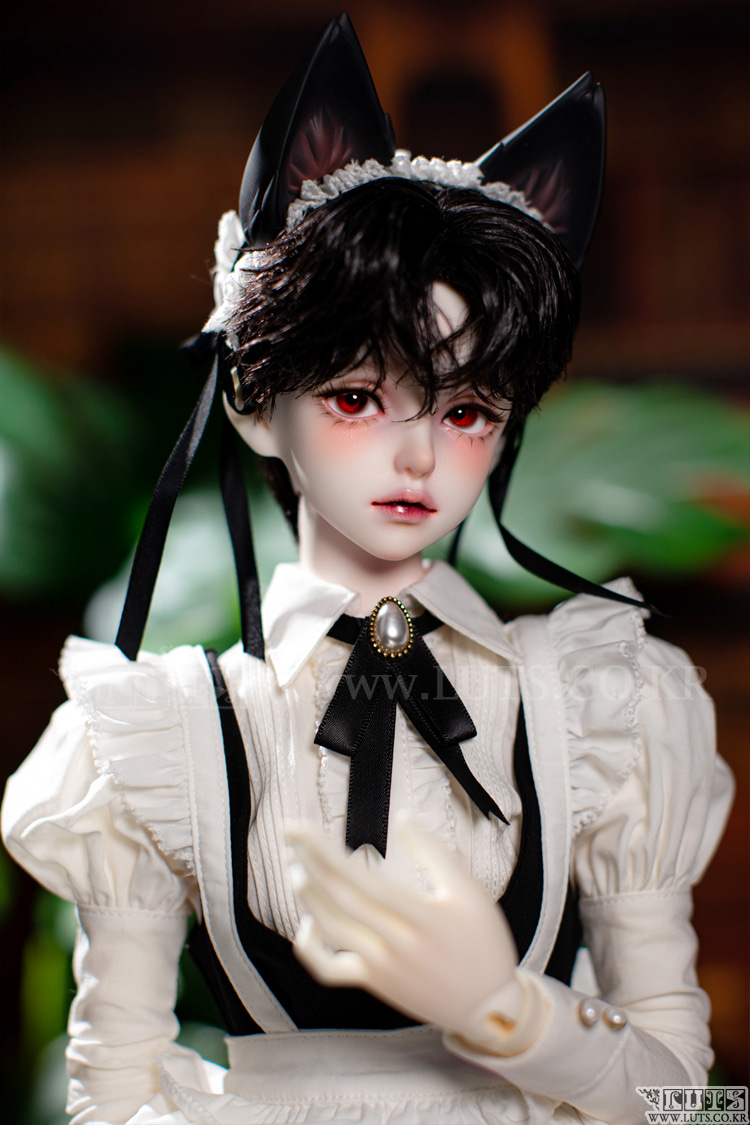 luts senior delf muse elliot