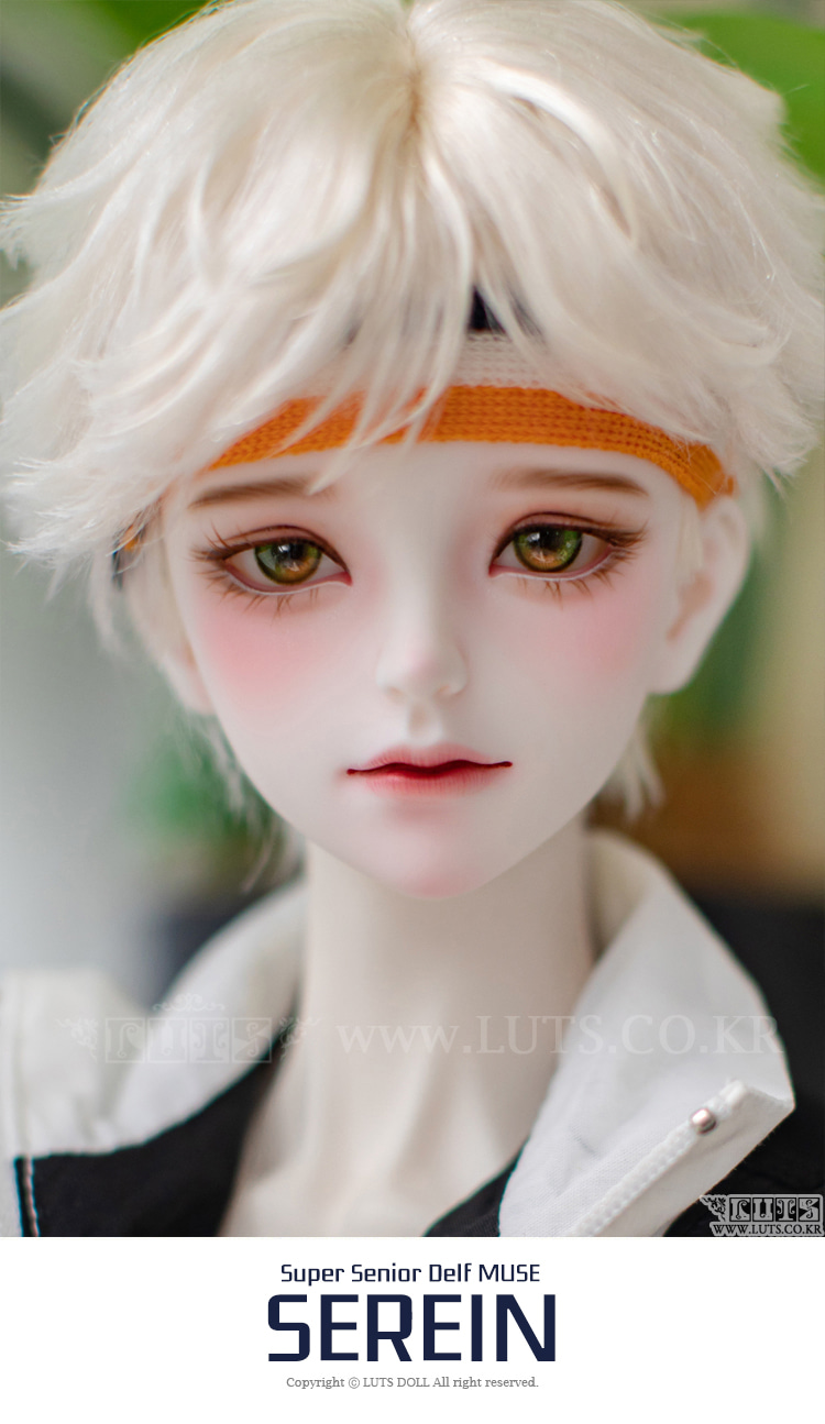 luts senior delf muse serein