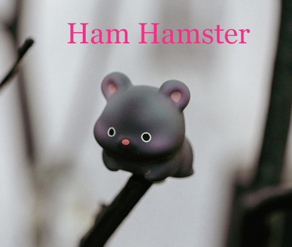 cocoriang ham hamster